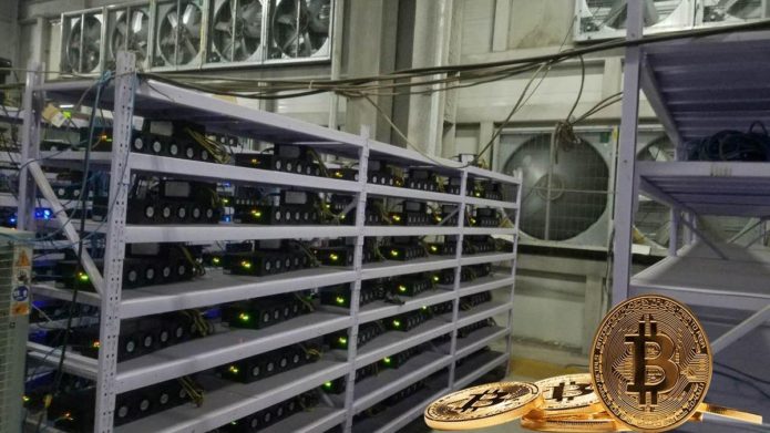 Компания PandaMiner предлагает ASIC-и Buy B5 Plus и B3 Pro для выгодной добычи криптомонет