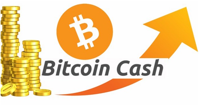 Особенности и перспективы Bitcoin Cash