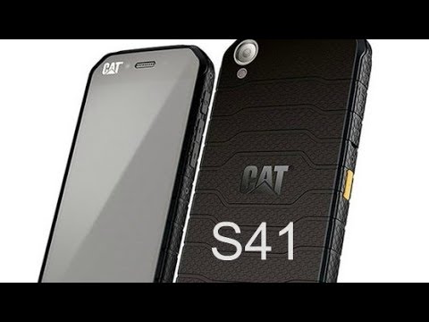 CAT S41