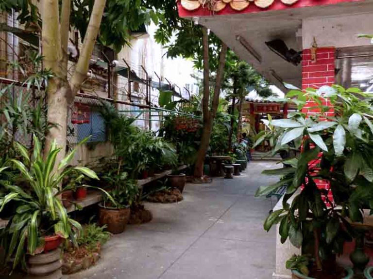 Достопримечательности: Сад Сан-Кио