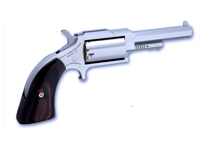 North American Arms NAA-1860-250