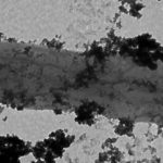 Лучшие новости о бактерии Geobacter surreducens