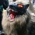 Лучшие новости о решении Японии отпугивать медведей волками-роботами.