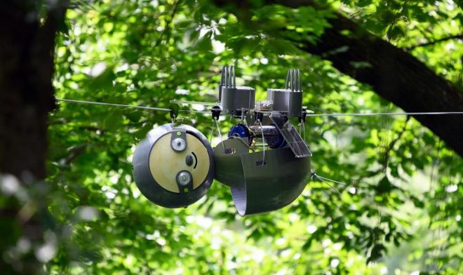 Лучшие новости об исследовании джунглей с помощью робота -ленивца SlothBot.