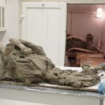 Лучшие новости об исследованиях древних вирусов из вечной мерзлоты 