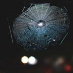 Лучшие новости о музыкальном инструменте из паутины 