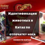 Идентификация животных в Китае по отпечатку носа