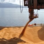Россия проделала огромный путь и стала крупнейшим экспортёром зерна