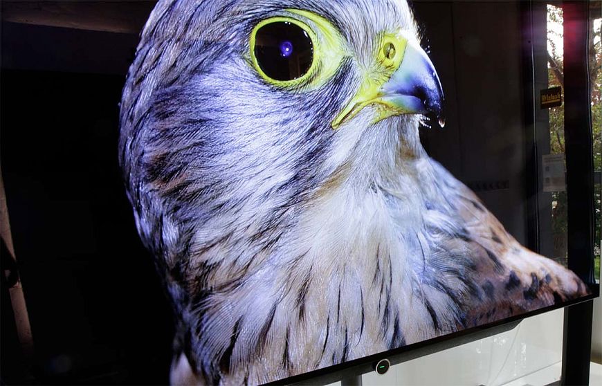 OLED-телевизор Loewe bild s.77 Легенда номер 77 – Тест OLED-телевизора Loewe bild s.77