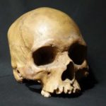 Обнаружены останки древнего мужчины с двумя икс-хромосомами