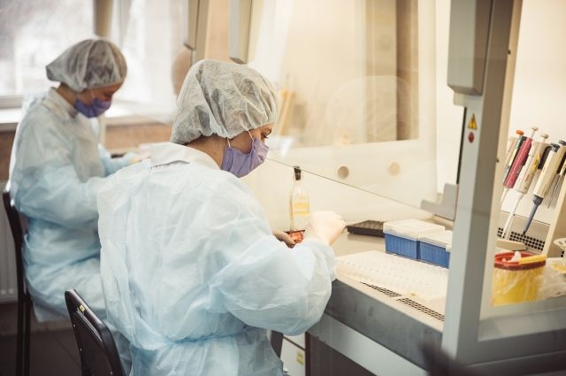 ВОЗ: смертность от коронавируса снизилась на 80%