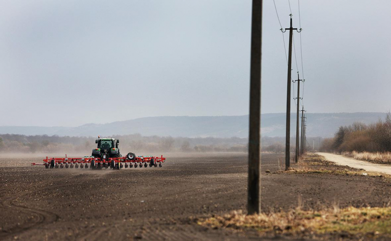Польша призвала запретить ввоз замороженной малины с Украины